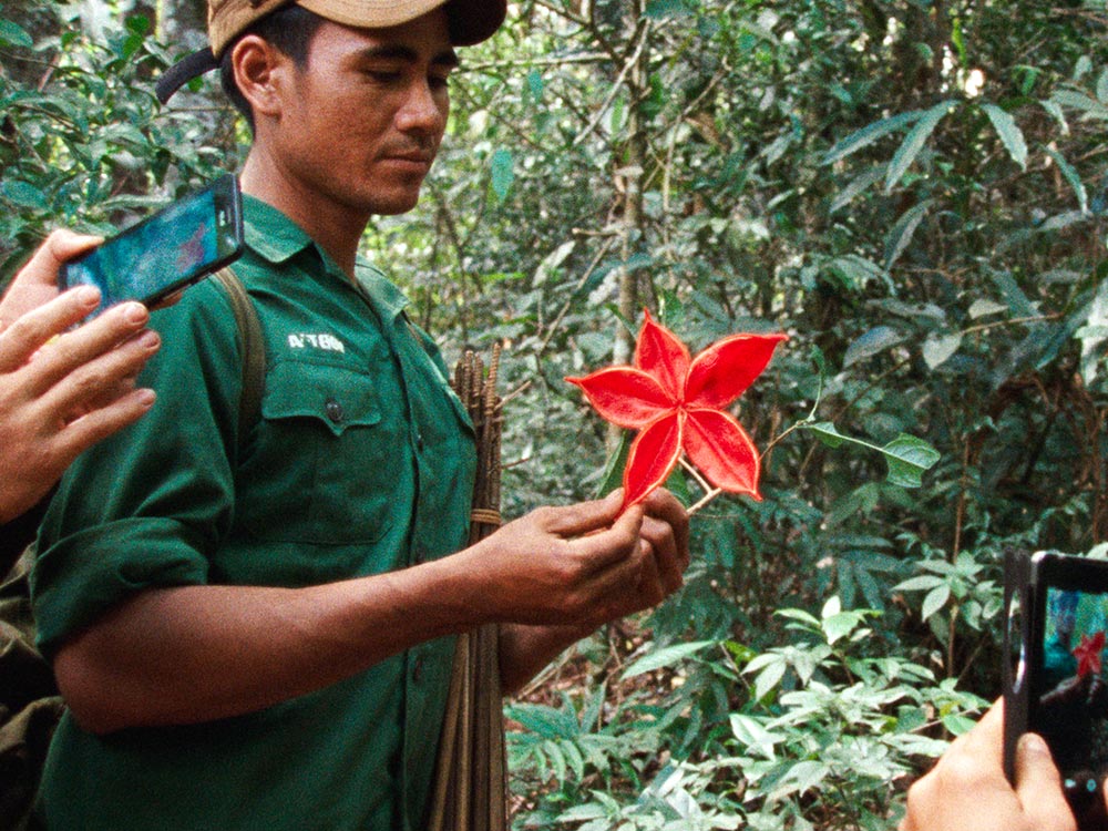 A man holds vibrant red flower in jungle