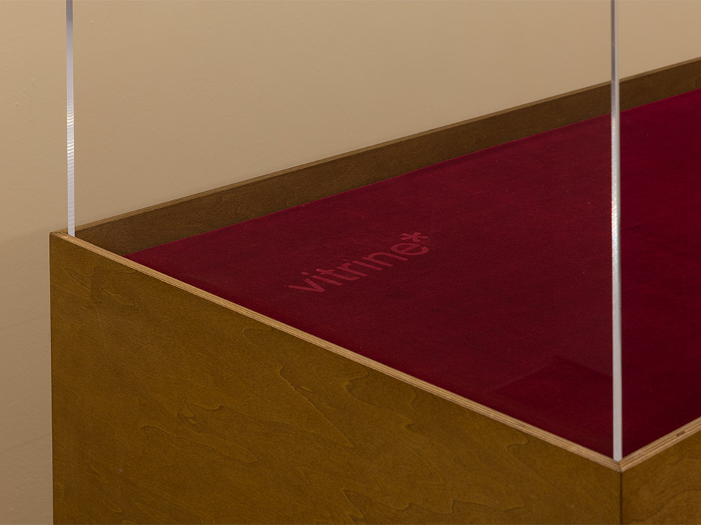 An empty glass vitrine with red velvet. There is a logo that reads 'vitrine*'