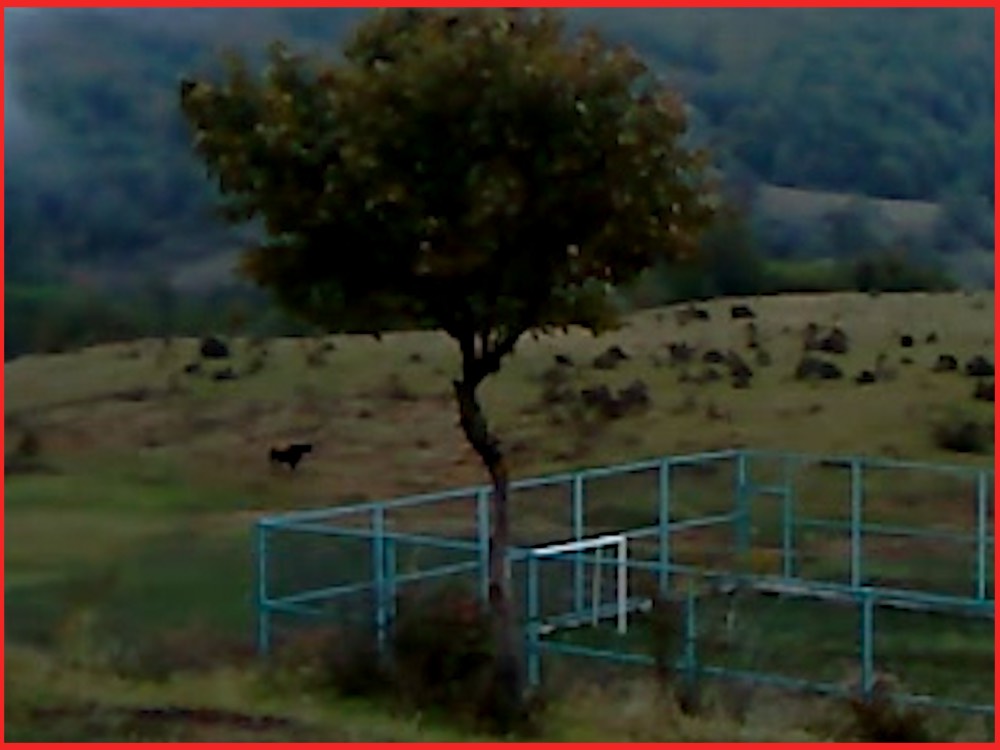 Off-Circuit Dry Leaf