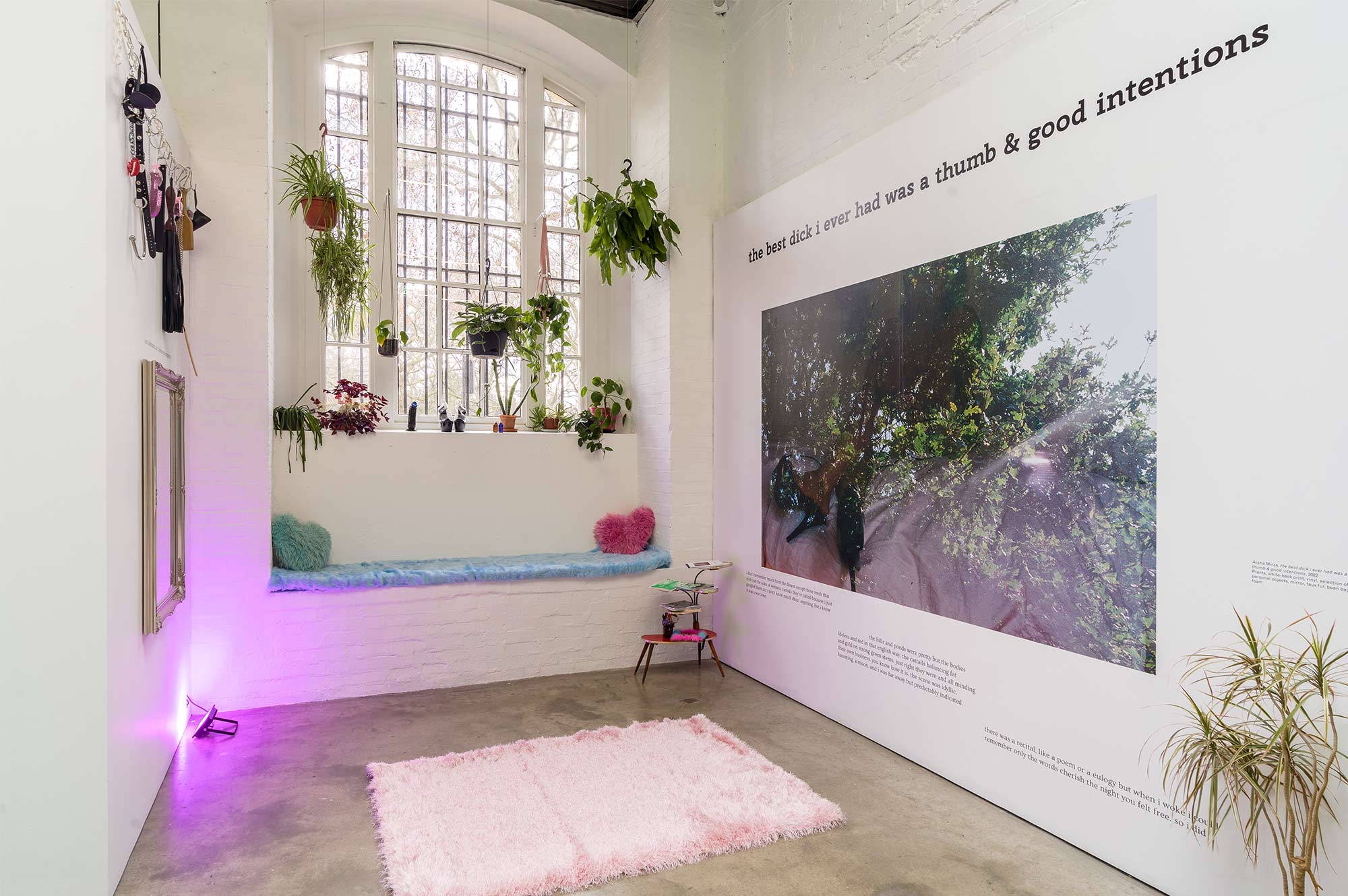 Gallery space filled with hanging pot plants and lush pink carpet
