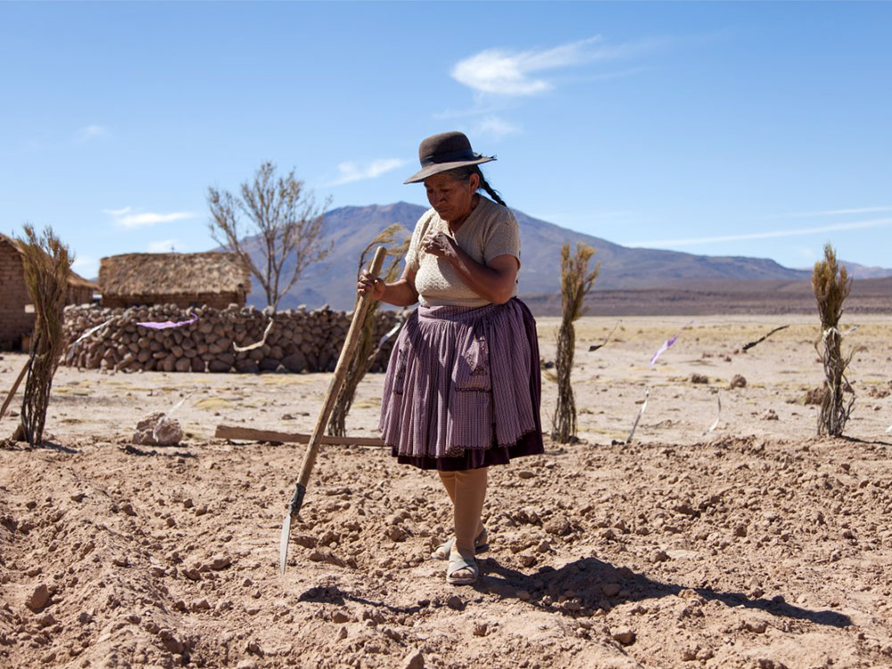 An elderly person tends to the field with a large trowel-like tool. In the background are vast mountain ranges against a bright blue sky.