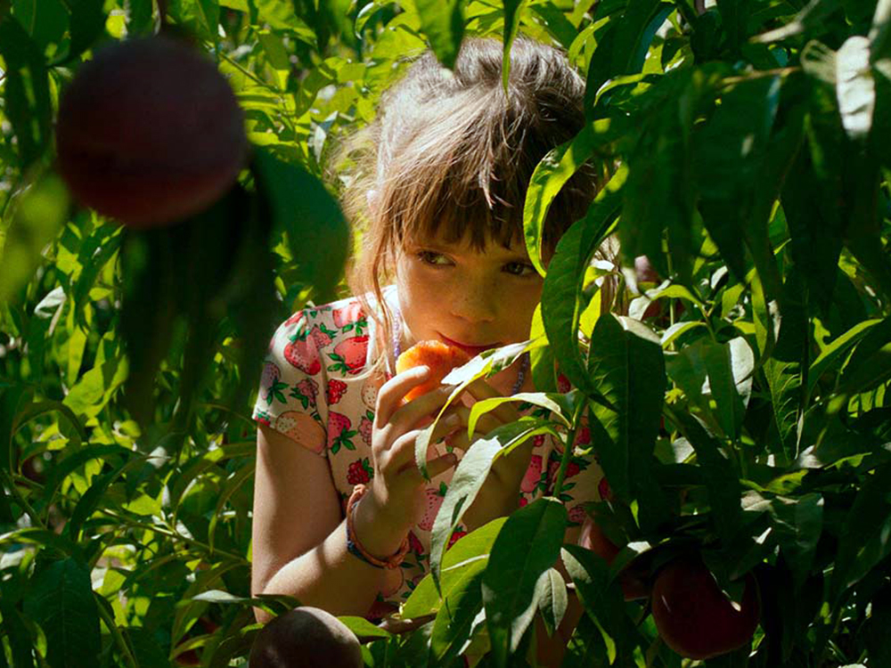 A young person in a peach-patterned dress peeks through an apple orchard in bright sunlight