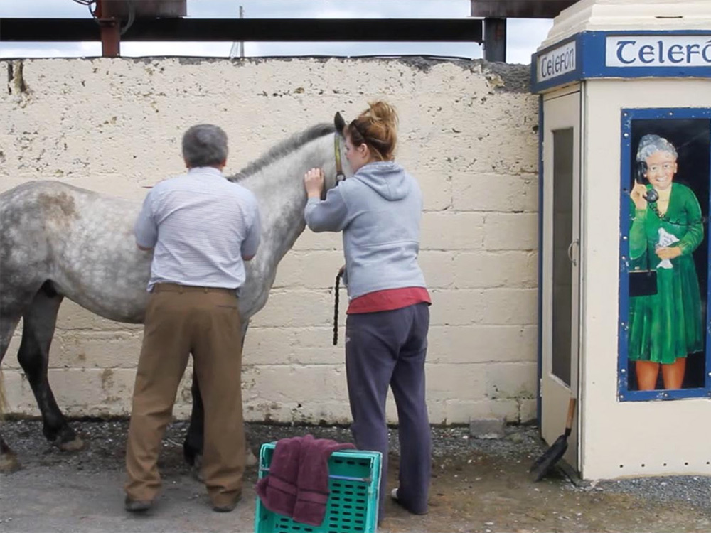 Two people in casual clothing tend to a grey horse against a brickwall. Off the side is an old telephone box, decorated by a cheeky painting of a grandma taking a call