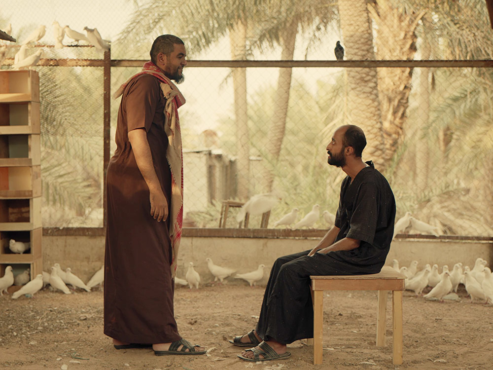 A man sits on a bench in an outside pen of white doves. Another man stands over him