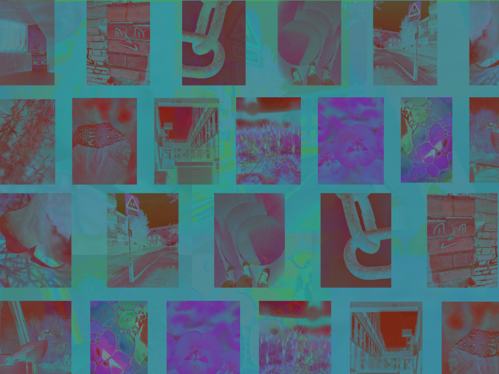 A series of close-up phone photos of the environment, spread out in a grid beneath a green-blue filter, like looking through water or oil
