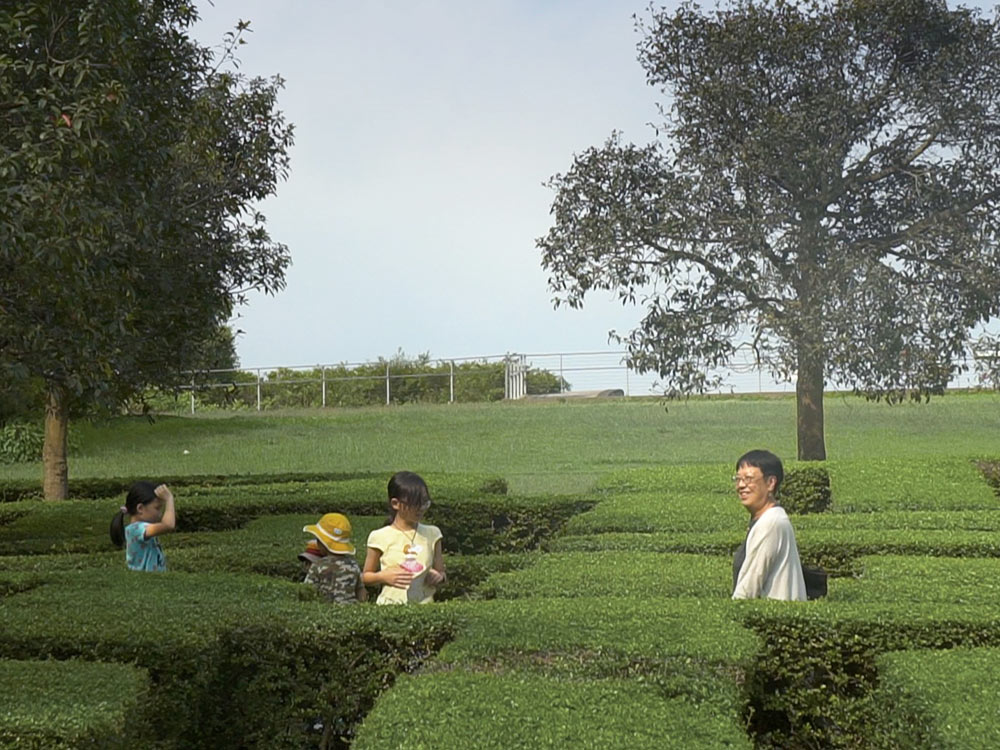 Ann Hui and some kids stand in a hedge maze on a grassy hill