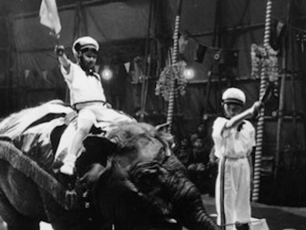 Two young boys in the circus, wearing sailor outfits, holding up flags. One is riding an elephant.