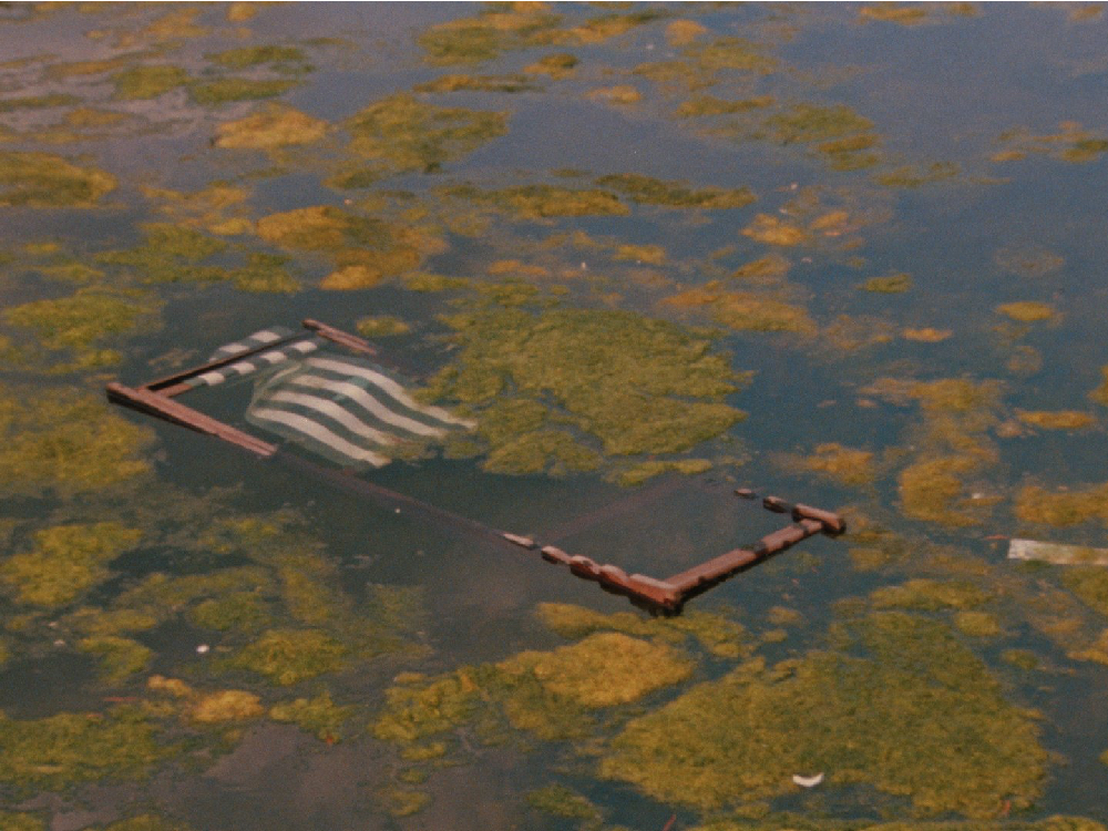 A deck chair floats in water, surrounded by algae and small bits of rubbish
