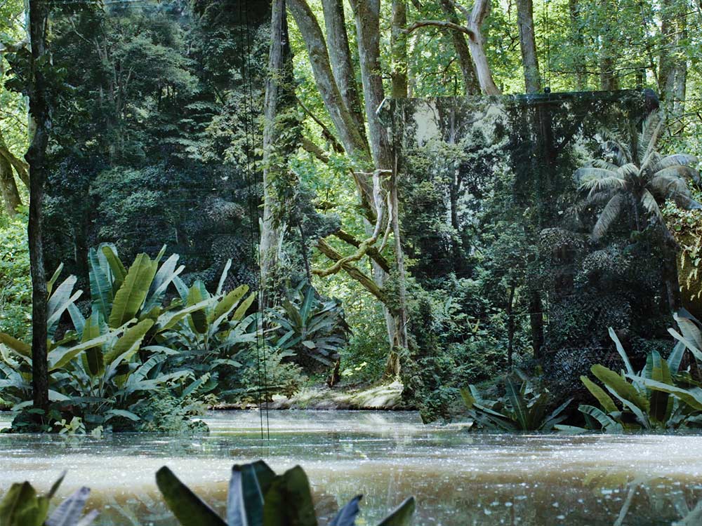 Canvases covered with photo prints of jungle sit in a river in a jungle