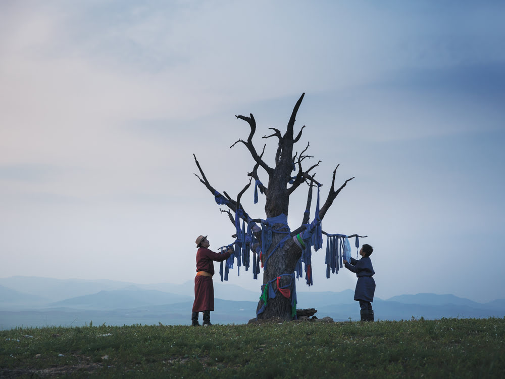 Inner and Outer: The Mongolian Films of Byambasuren Davaa