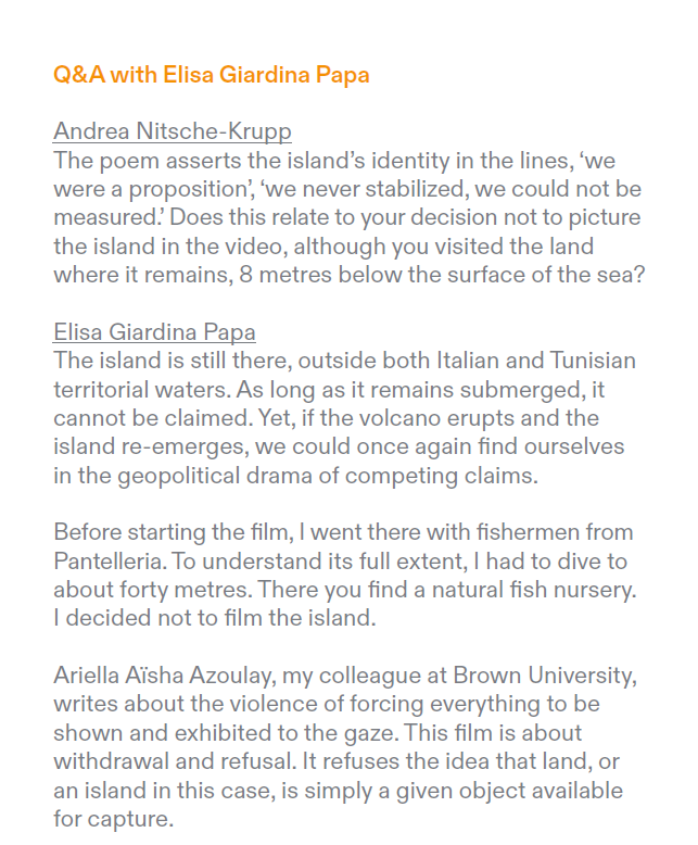 Preview of the Q&A with Elisa Giardina Papa