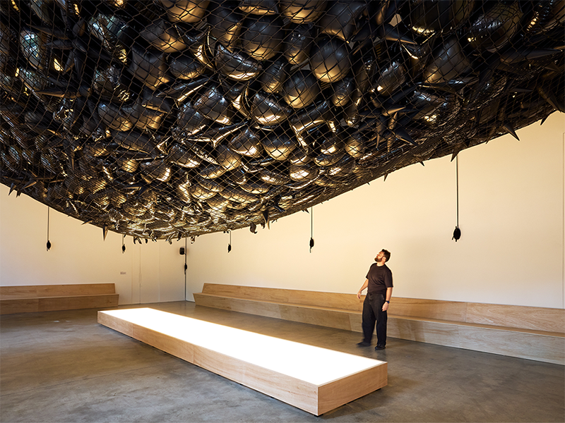 Installation view I Can't Complain by Autumn Knight
