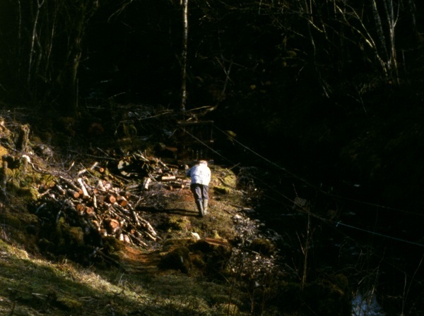 Ben Rivers, Origin of the Species, 2008, 16mm. Courtesy LUX and the artist.