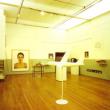 Photo: The Institute of Cultural Anxiety: Works from the Collection